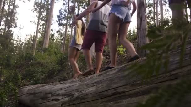 Amigos Equilibrio en árbol — Vídeo de stock