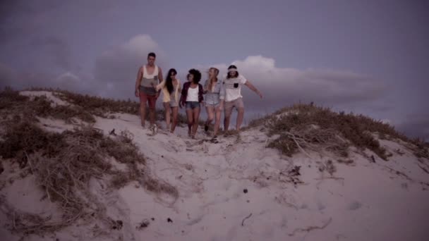 Φίλοι που κυλάει στους αμμόλοφους στην παραλία — Αρχείο Βίντεο