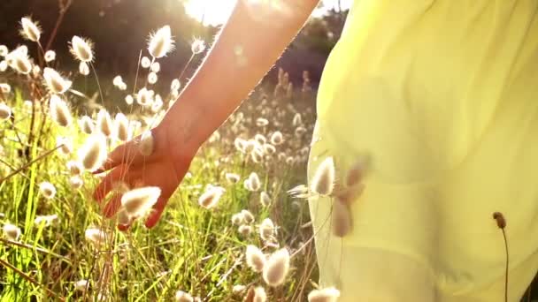 女の子は草を歩く — ストック動画