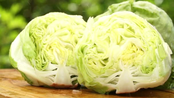 Fresh lettuce — Stock Video