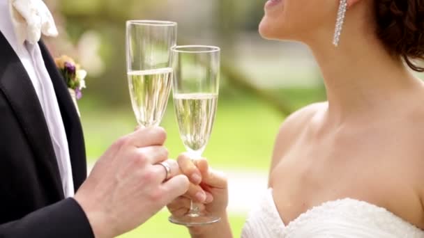 Newlyweds drinking champagne — Stock Video