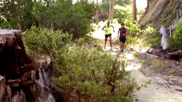 Paar joggen op forrest pad — Stockvideo