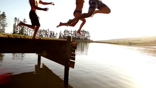 Hoppa i sjön från en brygga — Stockvideo