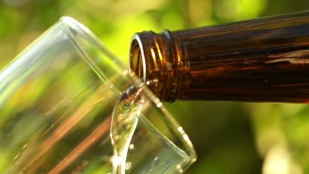 Close-up of beer pouring into glass — Stock Video