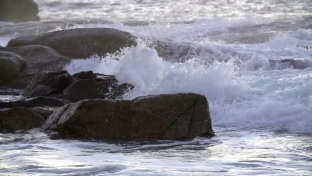 Olas salpicando sobre rocas — Vídeos de Stock