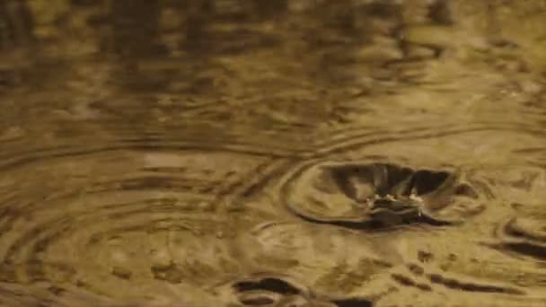 Капля воды в замедленной съемке — стоковое видео