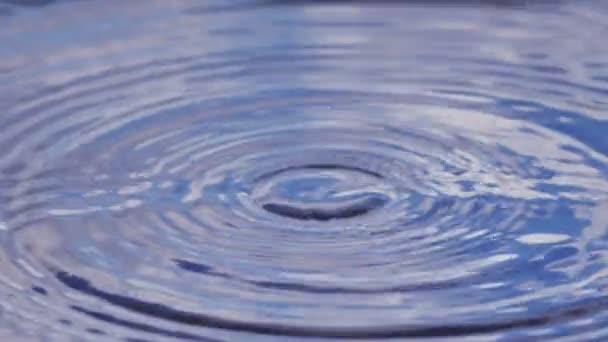 Water drops in slow motion — Stock Video