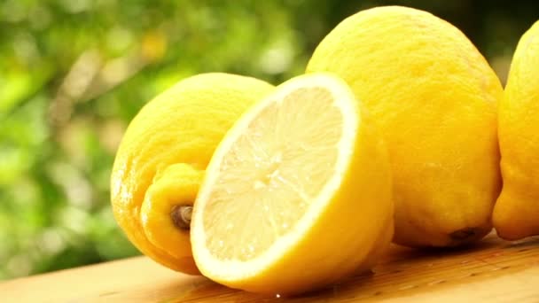 Yellow fresh lemons — Stock Video