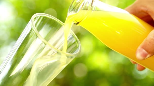 Verter el jugo de naranja de la botella en un vaso — Vídeo de stock