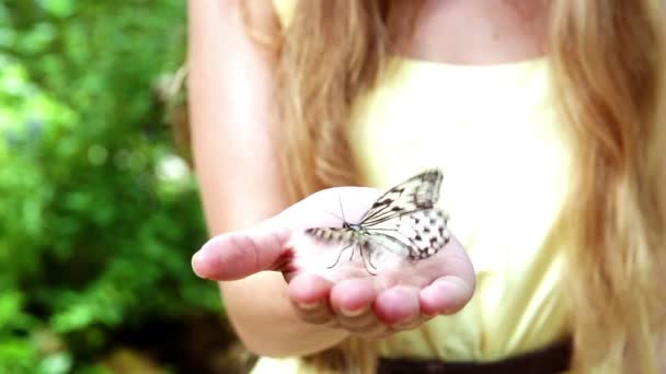 Chica con mariposa — Vídeo de stock