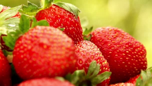 Fresas girando — Vídeos de Stock