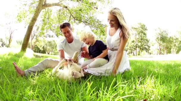 Jugando con el cachorro en el parque — Vídeo de stock