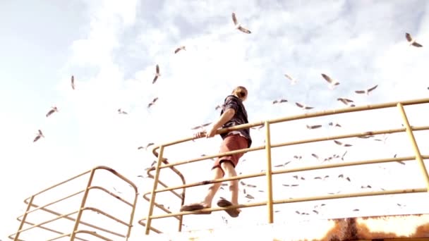 Hombre en muelle observando aves — Vídeos de Stock