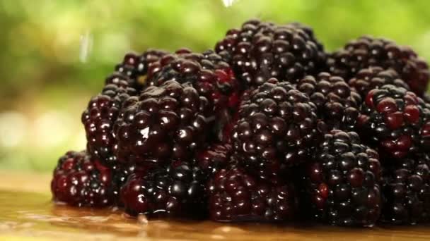 Water drops falling on blackberries — Stock Video
