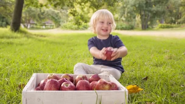 Chłopiec z jabłkiem — Wideo stockowe
