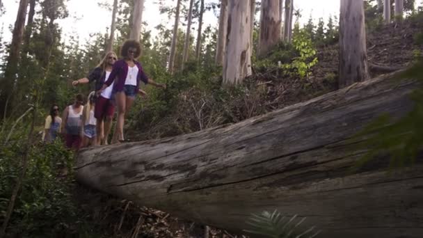 Amigos Equilibrio en árbol — Vídeo de stock