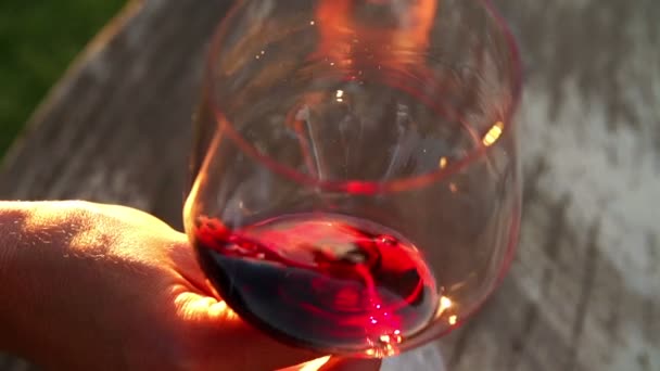 Vin rouge tourbillonné dans un verre à vin — Video