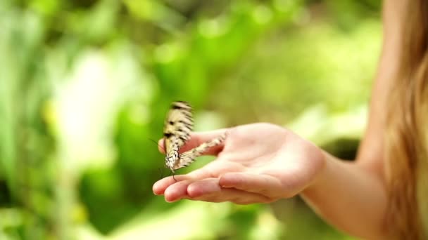 Girl with butterfly — Stock Video