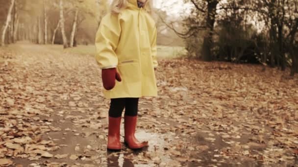 Bambina nel parco autunnale — Video Stock