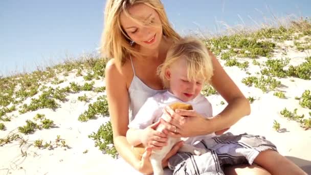 Boy and puppy sitting in mother's lap — Stock Video