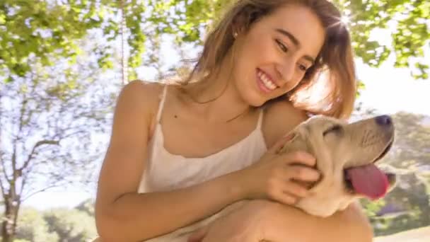 Frau sitzt mit ihrem Labrador-Welpen unter Baum — Stockvideo