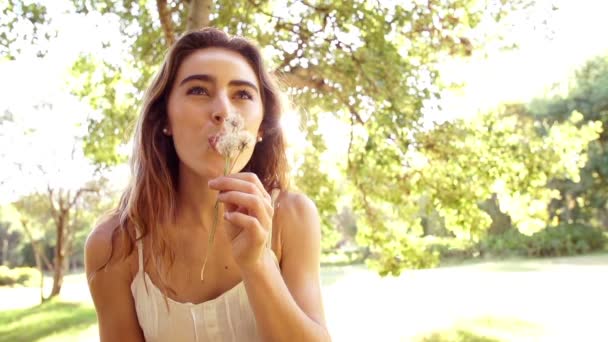 Woman blowing dandelion in park — Stock Video