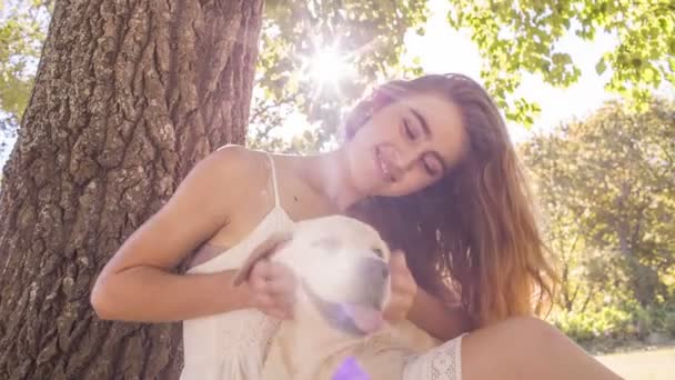 Vrouw zitten onder boom met haar labrador puppy — Stockvideo