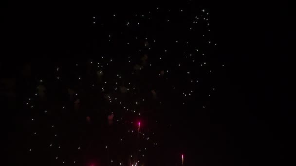 Fuochi d'artificio contro cielo nero — Video Stock