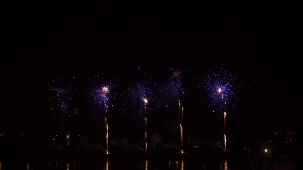 Fuochi d'artificio contro cielo nero — Video Stock