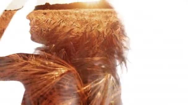 Молодая Афро Американка Кружится Дважды Обнаженная Пшеничном Поле Закате — стоковое видео