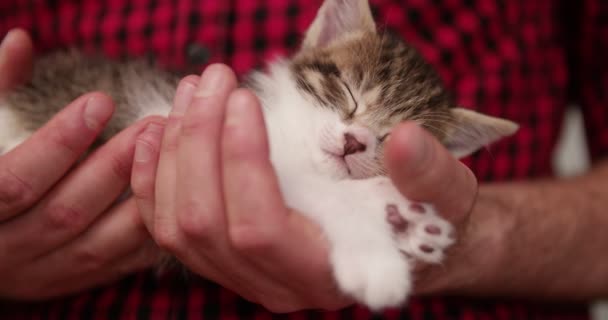 Güvenli Bir Şekilde Büyük Kırmızı Ekose Desenli Gömlek Giymiş Bir — Stok video