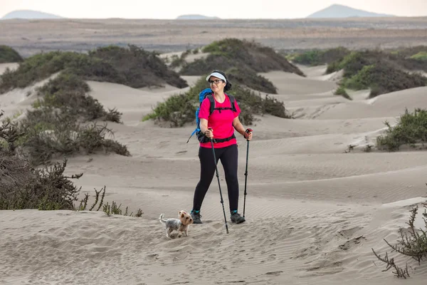 Full body of female traveler with trekking sticks walking on Famara seashore with Yorkshire Terrier dog in summer and looking away