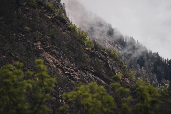 Rochers, forêts et prairies recouverts de brouillard dans un monde alpin en Suisse — Photo