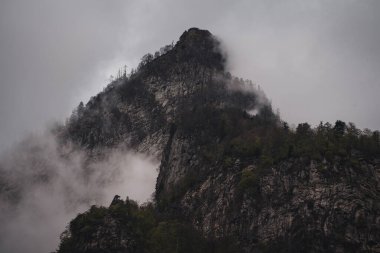 İsviçre 'deki dağlık bir dünyada kayalar, ormanlar ve sisle kaplı çayırlar.