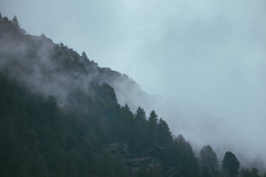 İsviçre Avrupa 'da sisle kaplı bir dağ
