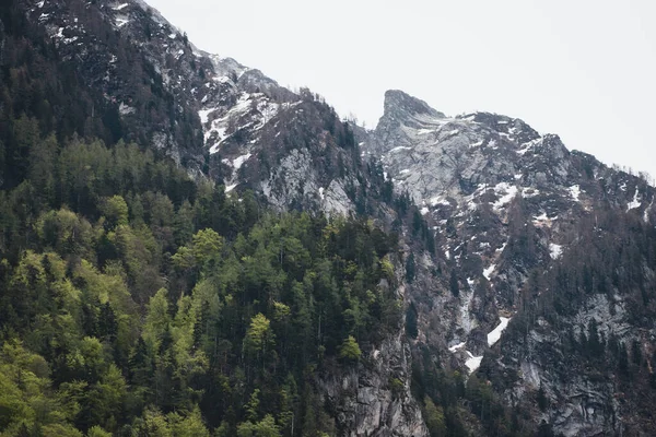 Mountains covered with forest in the Swiss Alps — Zdjęcie stockowe