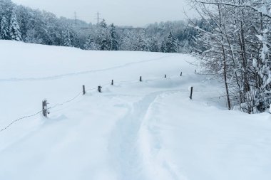 İsviçre 'de karla kaplı bir alan. Yürüyüş için mükemmel bir hava.