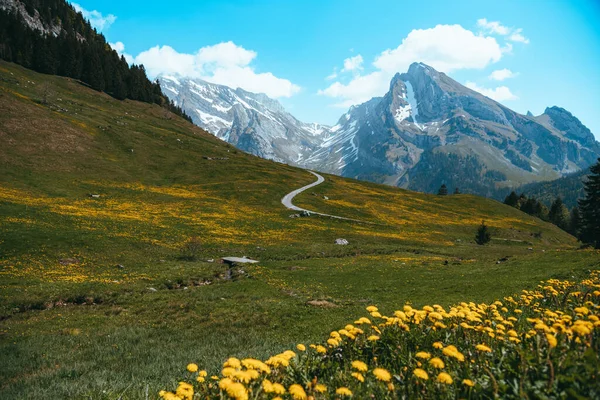 Schweizer Berge Toggenburg Monumentale Felsformationen Den Alpen Herzen Europas Stockbild