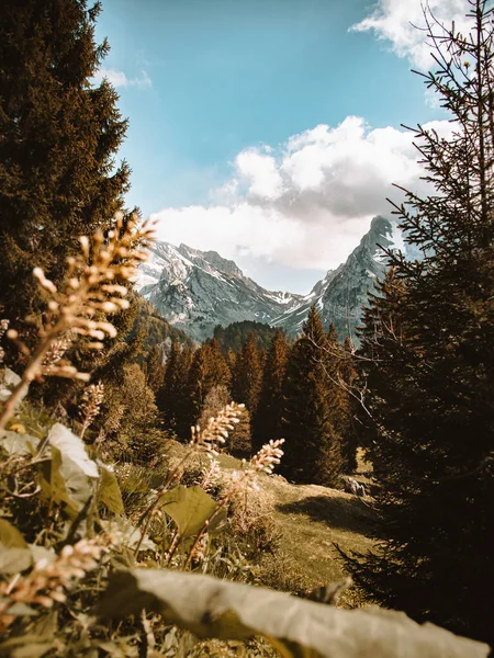 Montagne svizzere Toggenburg - formazioni rocciose monumentali nelle Alpi — Foto Stock