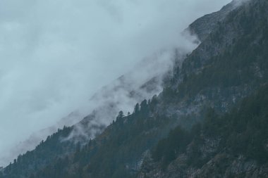 İsviçre Avrupa 'da sisle kaplı bir dağ