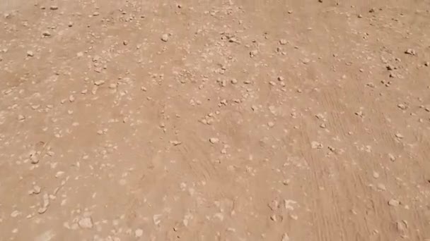 Poros Föld Vörös Homokkal Kövekkel Sivatagban Kiváló Minőségű Fullhd Felvételek — Stock videók