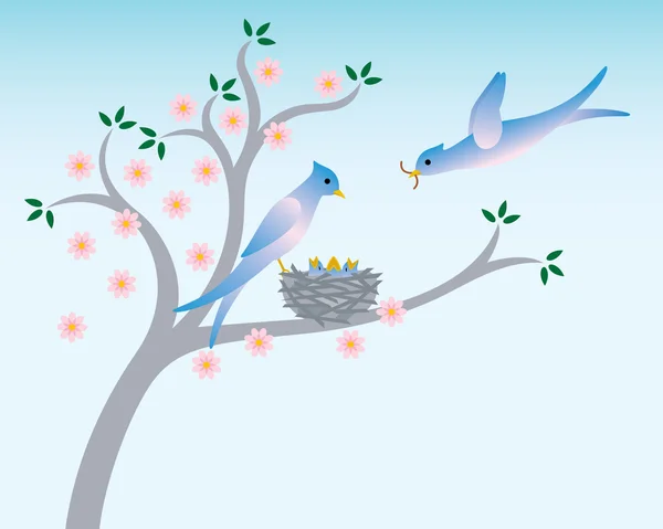 Ptaki z gniazda w wiosenny — Wektor stockowy