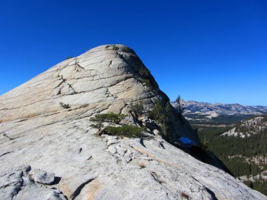Lembert dome, yosemite Milli Parkı, Kaliforniya