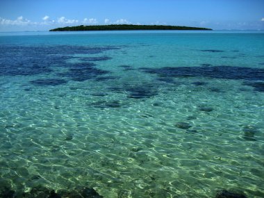 Ile aux aigrettes doğa parkı adadan mauritius sahil