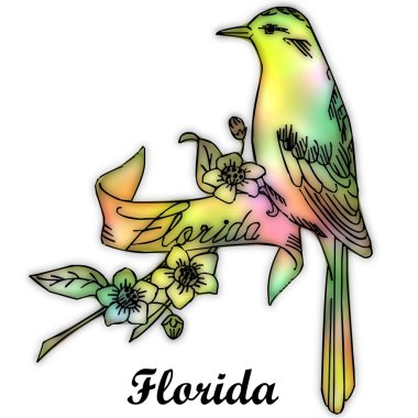 Florida Eyalet kuşu
