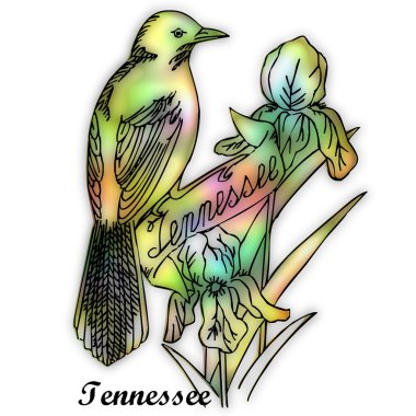 Tennessee devlet kuşu