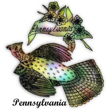 Pennsylvania State bird clipart