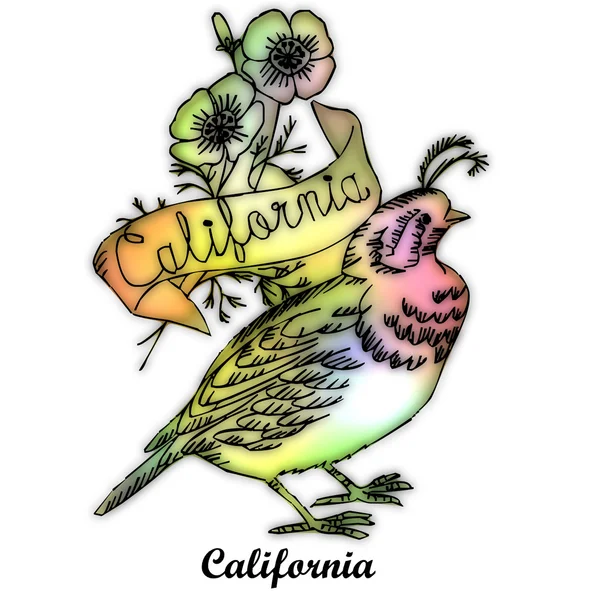 加利福尼亚州的州鸟 — 图库照片