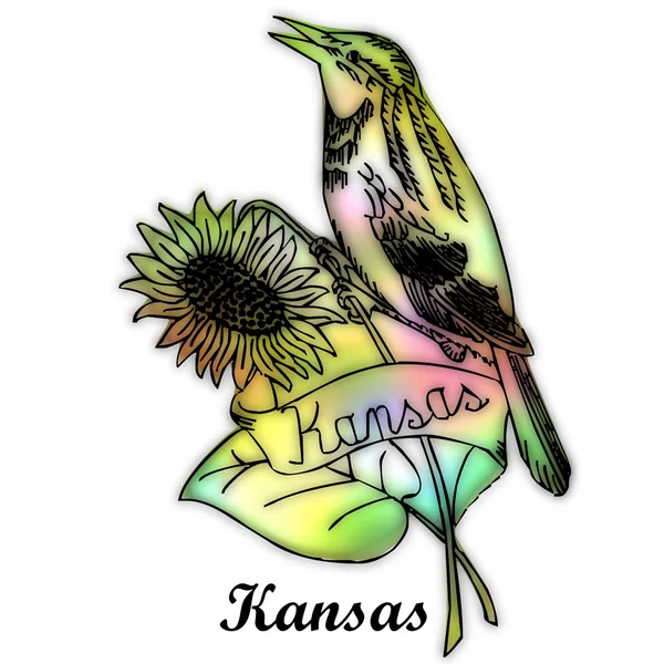 Aves do Kansas — Fotografia de Stock