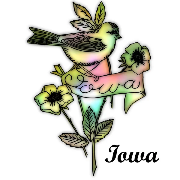 Iowa state fågel — Stockfoto